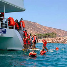 Tours de Snorkel