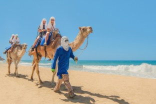camel-ride